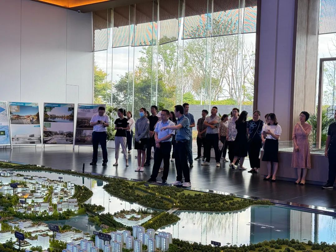 政府开放月活动：公众走近示范区，感受青浦蓬勃发展