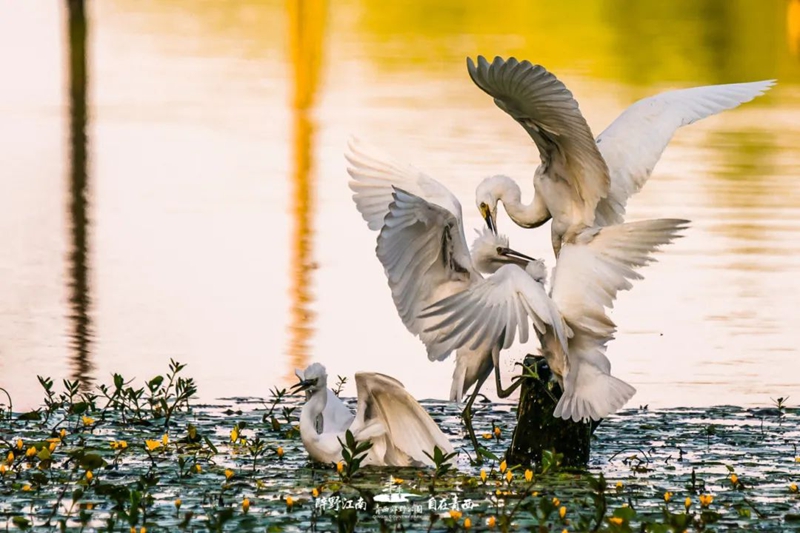 1017_093257_383.jpg 微信图片_20241017093810.jpg