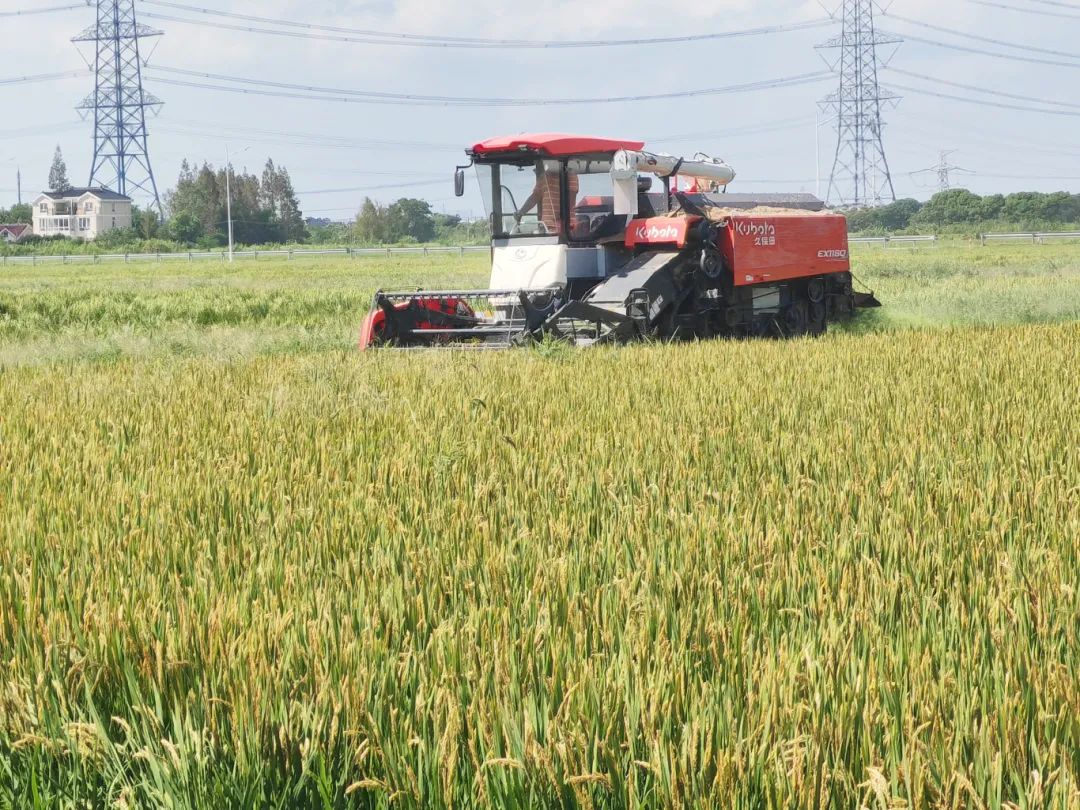 1113_083134_293.jpg 1113_083134_293.jpg