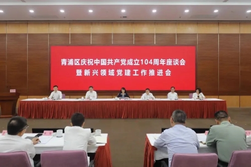 青浦区庆祝中国共产党成立104周年座谈会暨新兴领域党建工作推进会举行