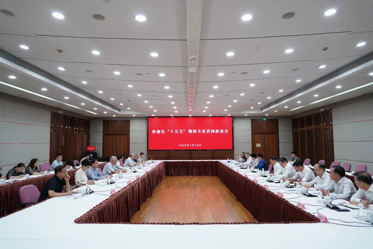 以高水平规划引领高质量发展，青浦区“十五五”规划专家咨询座谈会举行