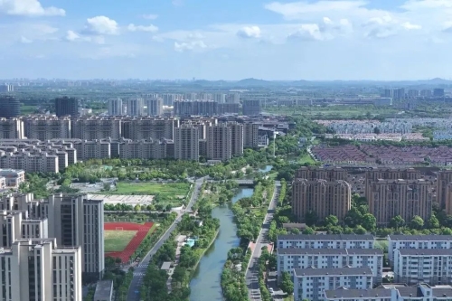 “懂你”的治理智慧，让这个小镇拥有“一见如故”的营商环境温度
