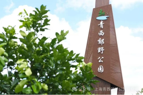 全面升级完毕！现在的青西郊野公园有什么新玩法？