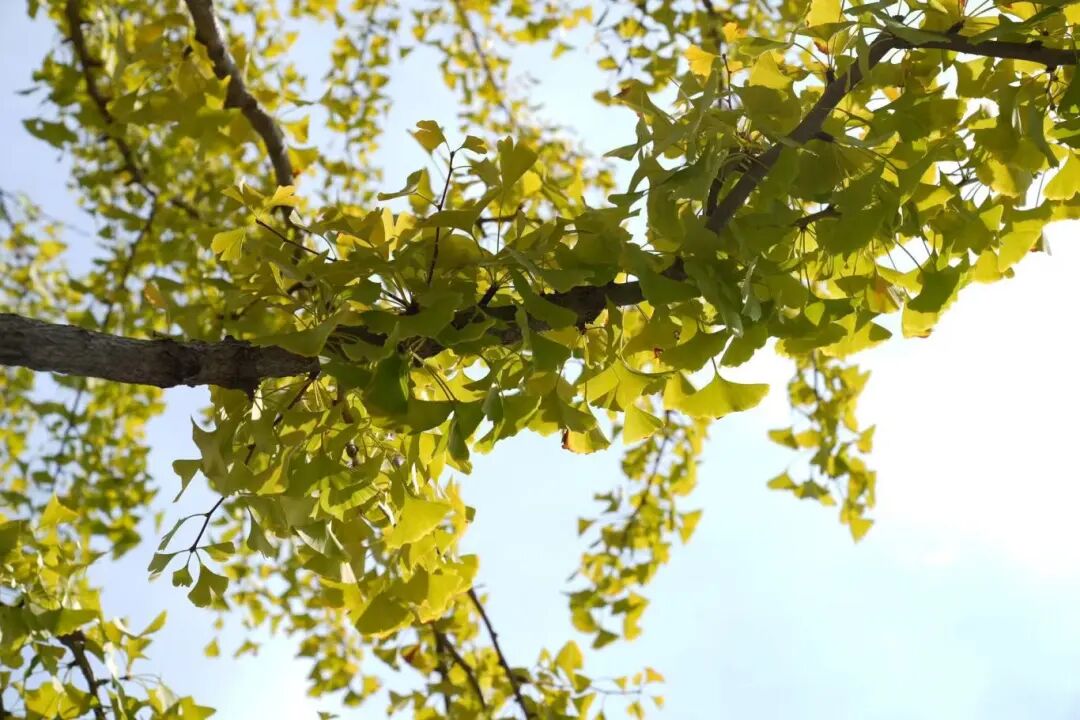 1107_145601_971.jpg 1107_145601_971.jpg