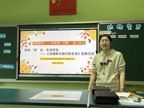 1117_103909_539.jpg 13.jpg