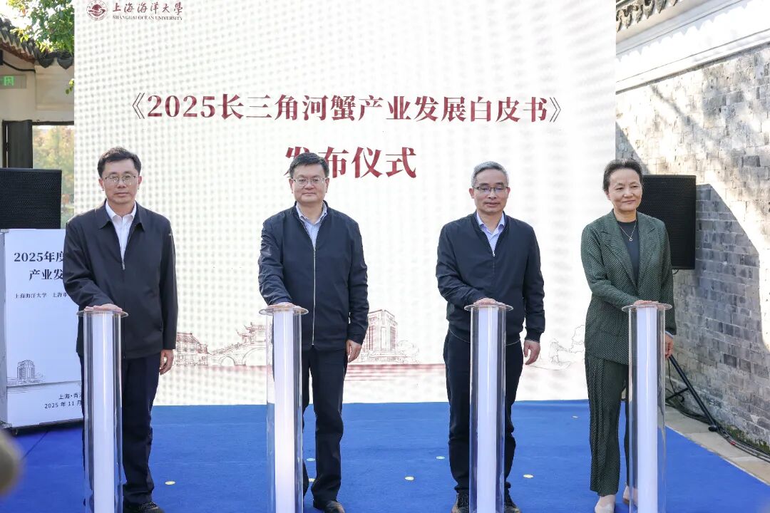 1117_111419_705.jpg 1117_111419_705.jpg