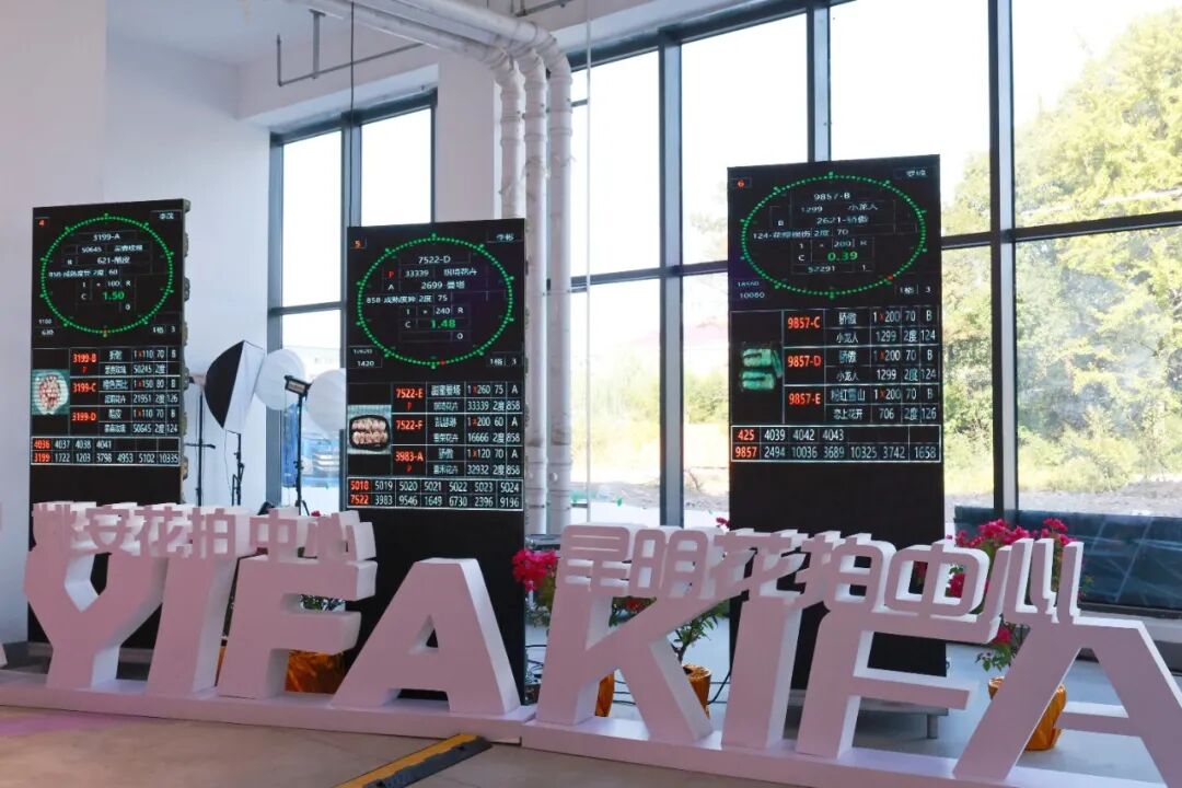 1205_102936_265.jpg 1205_102936_265.jpg