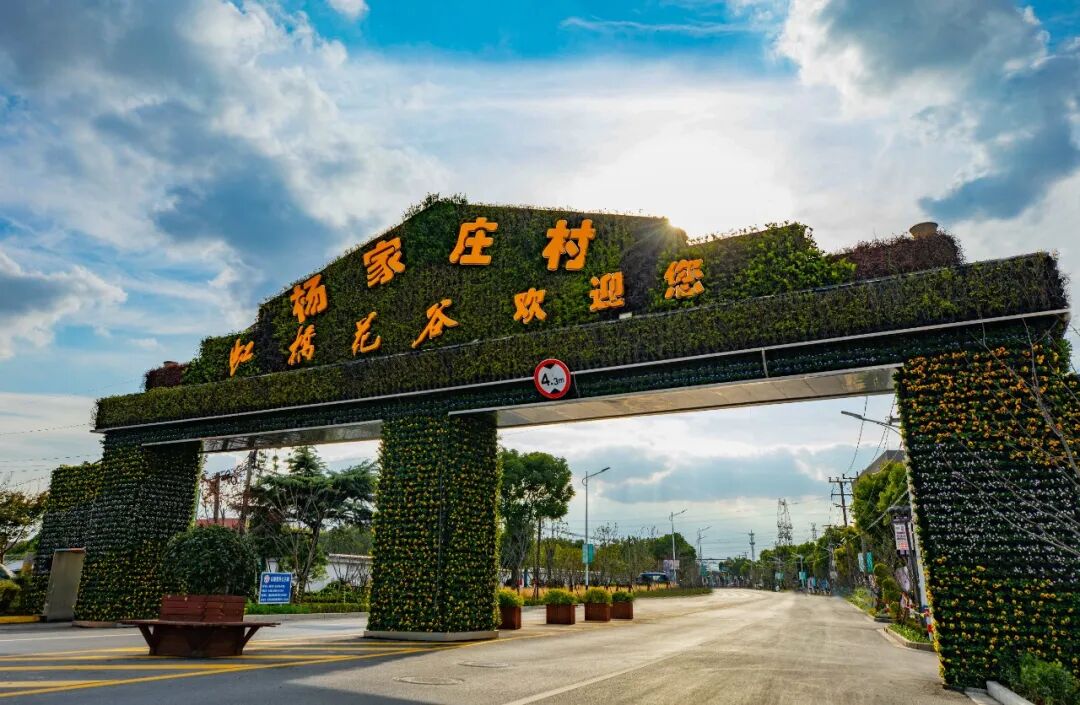 1205_103057_791.jpg 1205_103057_791.jpg