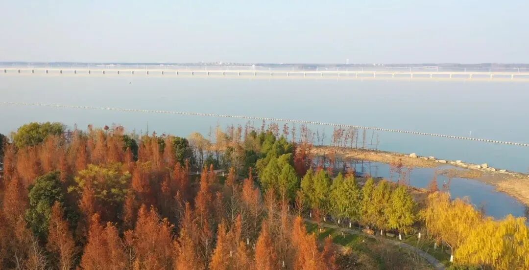 1209_141733_763.jpg 1209_141733_763.jpg