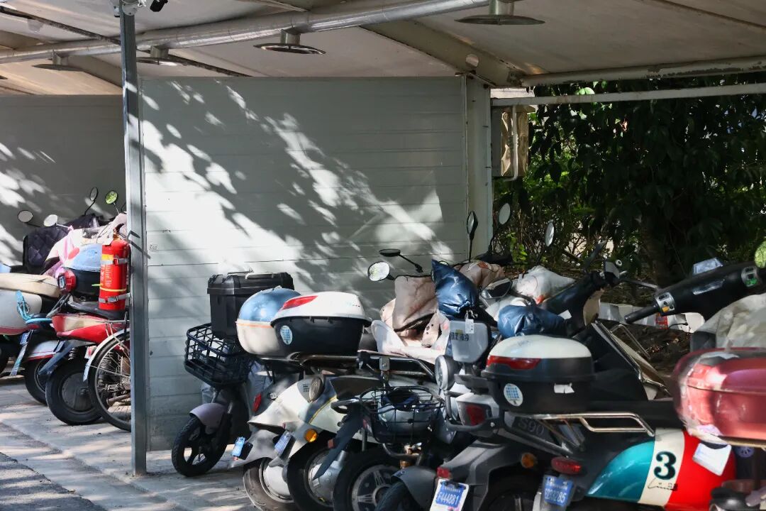 1211_083648_493.jpg 1211_083648_493.jpg