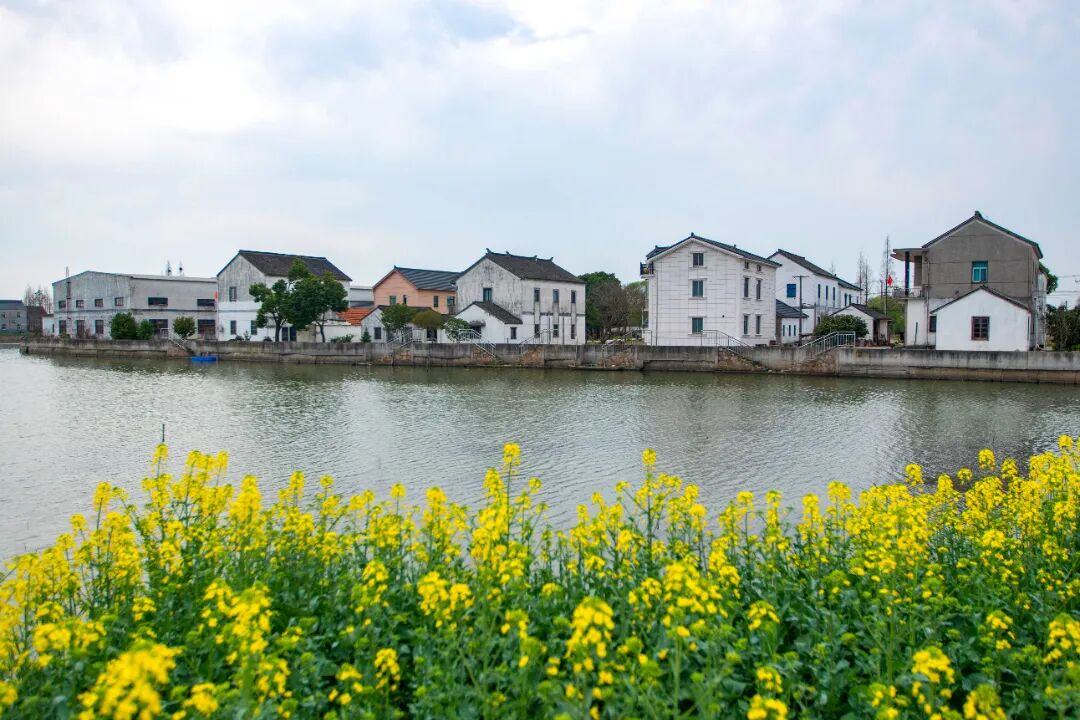 1216_100711_291.jpg 1216_100711_291.jpg