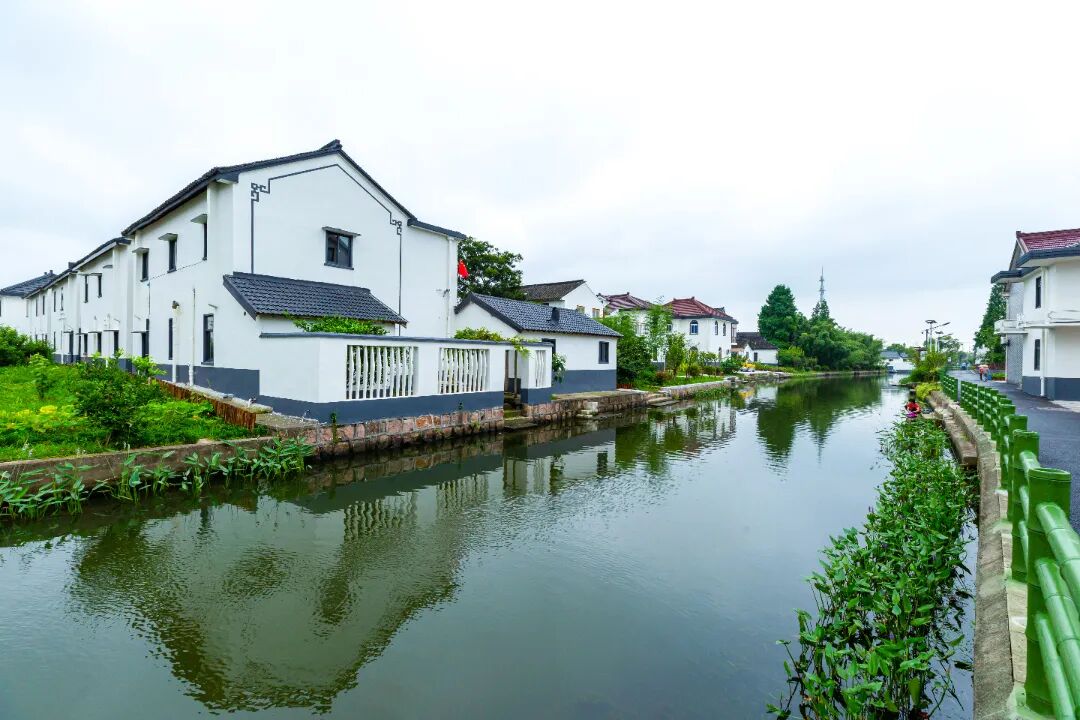 1216_100736_494.jpg 1216_100736_494.jpg