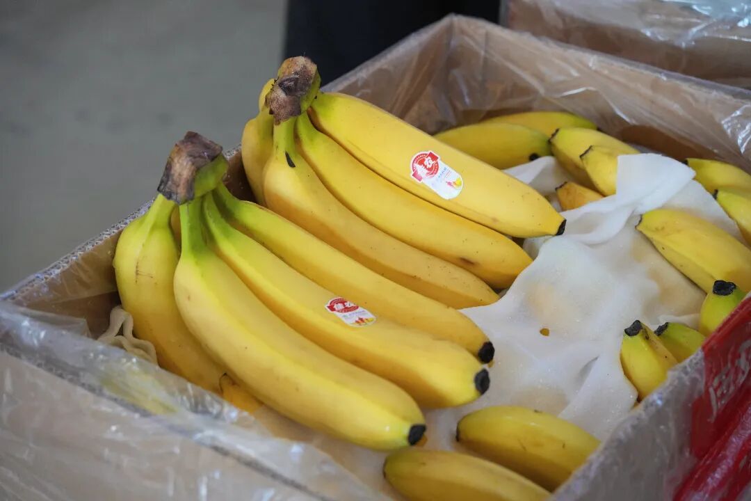 1216_102500_614.jpg 1216_102500_614.jpg