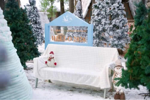 元旦跨年去哪儿？来青浦，“情绪价值”拉满！