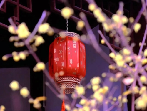 遇节气·游青浦｜立春·暗香里的春日序章