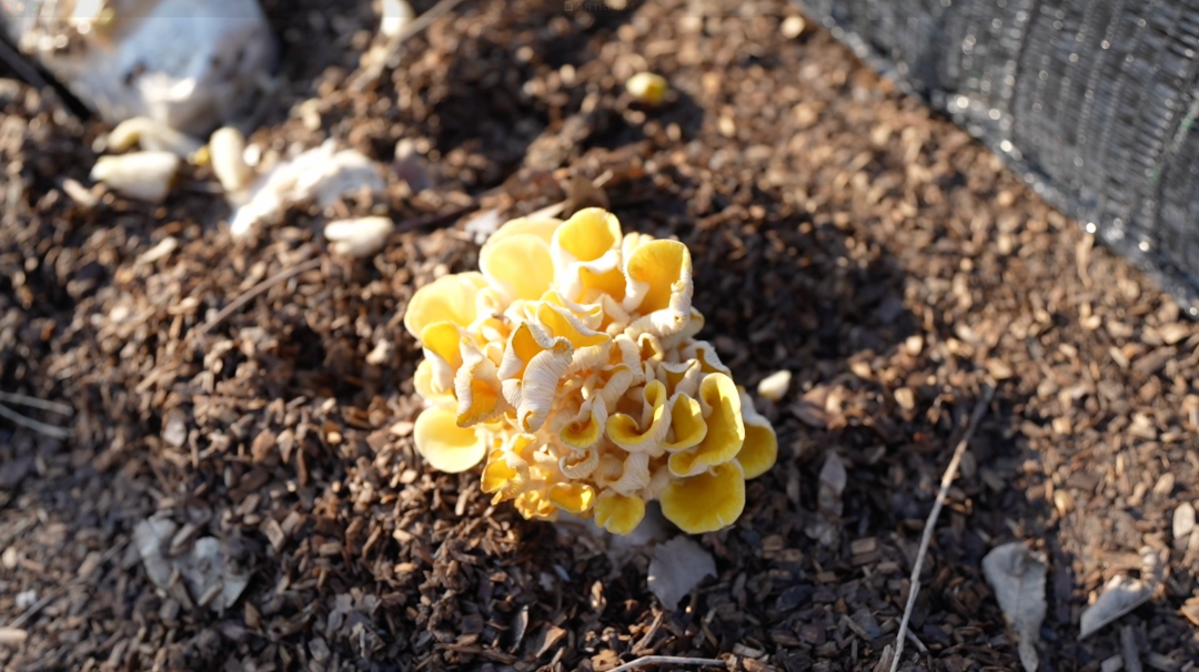 0312_083546_871.png 0312_083546_871.png