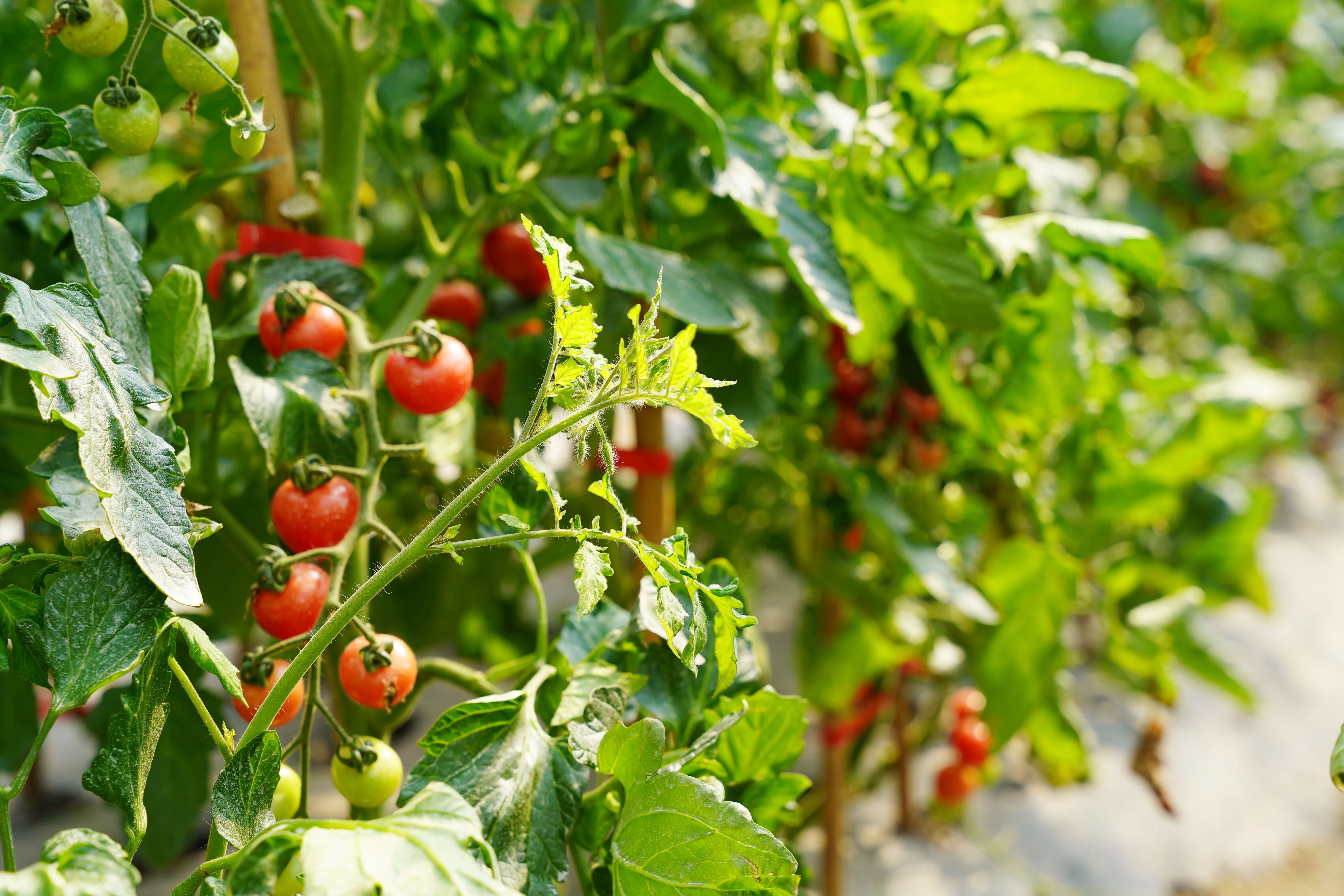 0312_083808_811.jpg 0312_083808_811.jpg