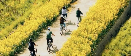 春游青浦丨第二弹来袭！匠心、童趣、自然，解锁青浦另一面