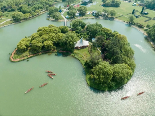 周末别找我，我要去青浦，坐在春风里~