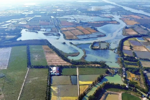 打造江南湿地农业保护传承示范样板！青浦区召开滩荡圩田农业系统保护与发展座谈会