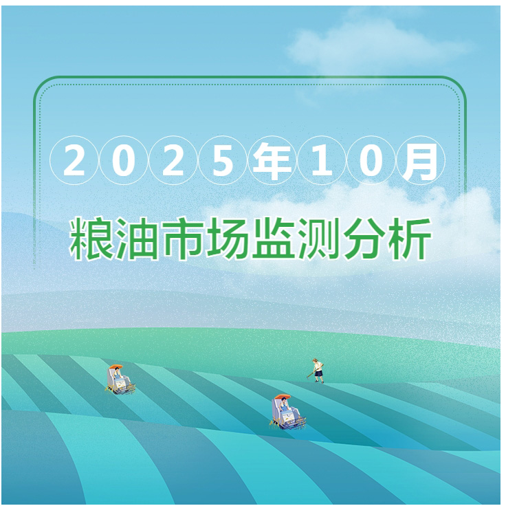 2025年10月粮油市场监测分析