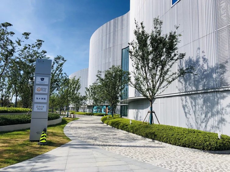 会·聚青浦｜这条既City又Country的旅“行”，才是当代人的最爱！