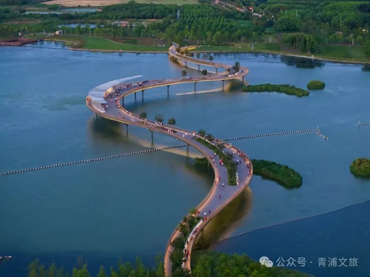会·聚青浦｜这条既City又Country的旅“行”，才是当代人的最爱！