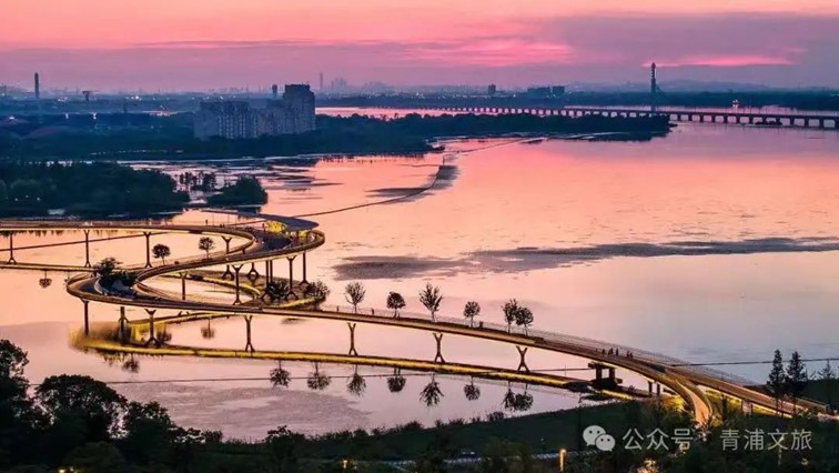 会·聚青浦｜这条既City又Country的旅“行”，才是当代人的最爱！
