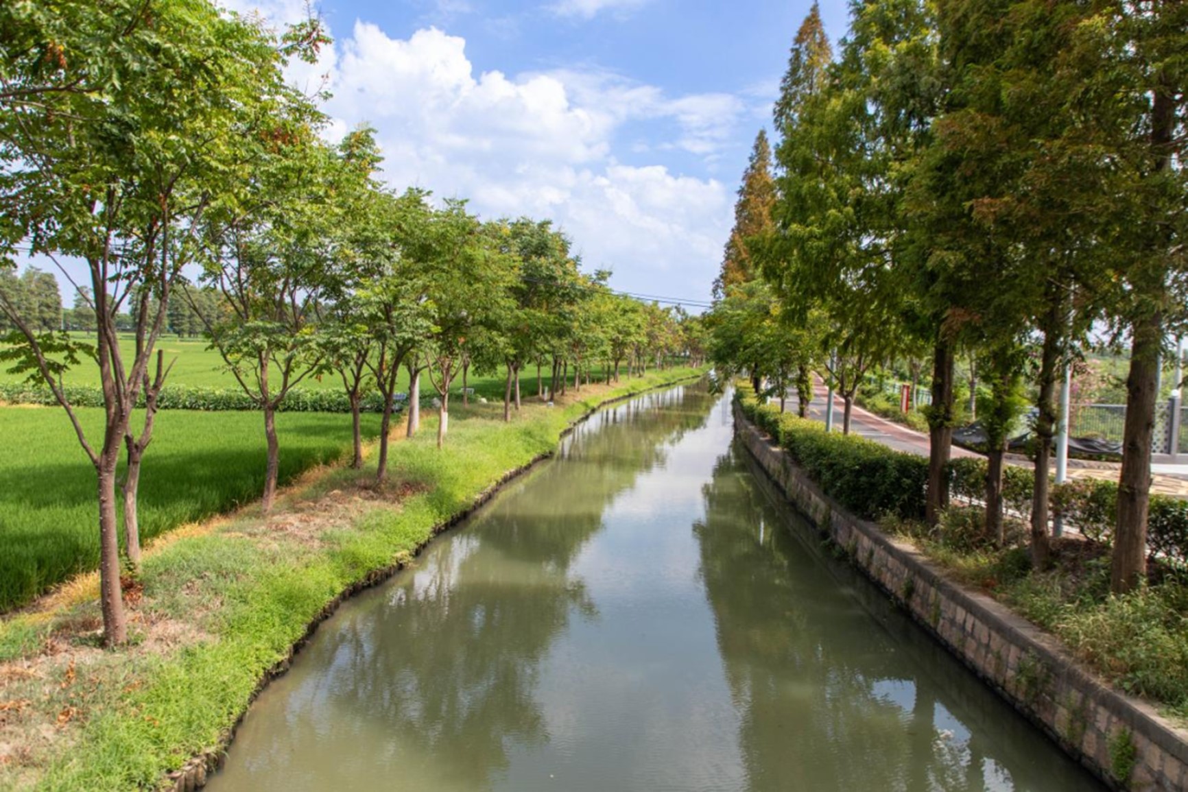 在青浦，江南秋日胜春朝