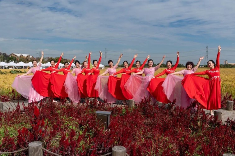 秋日乡野walk，松弛感拉满！青浦“家门口的好去处”又有新玩法！