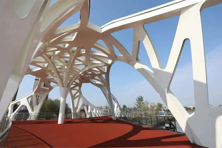 秋日乡野walk，松弛感拉满！青浦“家门口的好去处”又有新玩法！