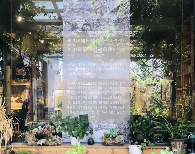 秋日乡野walk，松弛感拉满！青浦“家门口的好去处”又有新玩法！