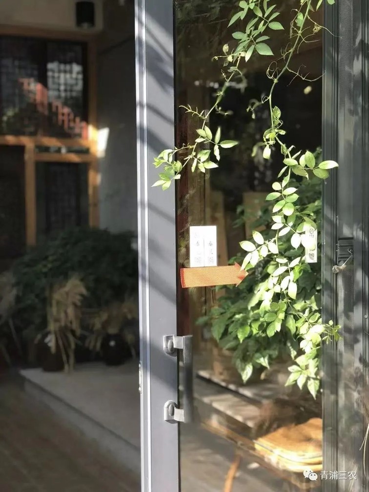 秋日乡野walk，松弛感拉满！青浦“家门口的好去处”又有新玩法！