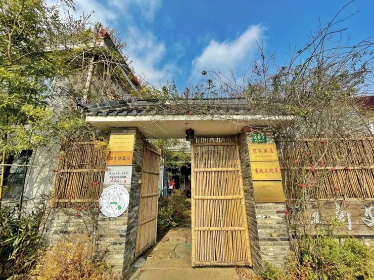 秋日乡野walk，松弛感拉满！青浦“家门口的好去处”又有新玩法！