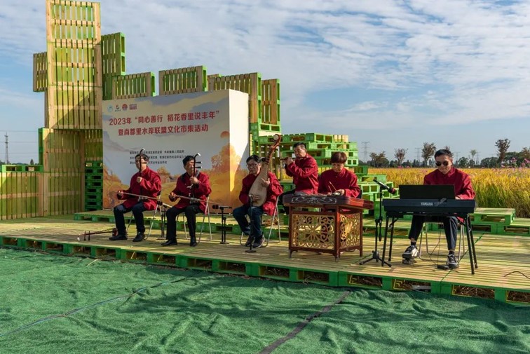 秋日乡野walk，松弛感拉满！青浦“家门口的好去处”又有新玩法！