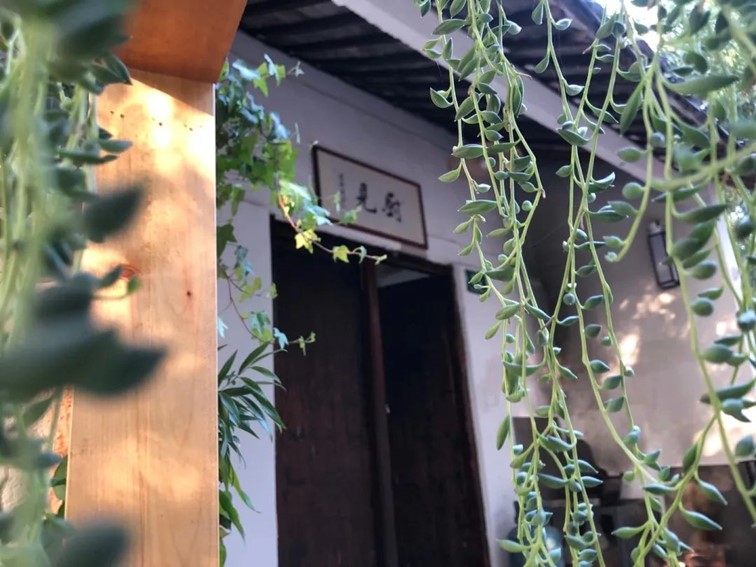 会·聚青浦｜这些沪郊雅宿一到秋天就美翻，田园小院赏秋不扎堆