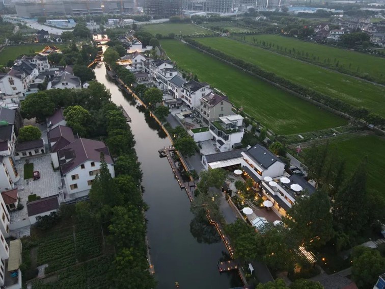 会·聚青浦｜来青浦走街串巷，这“秋膘”也是时候贴起来了！