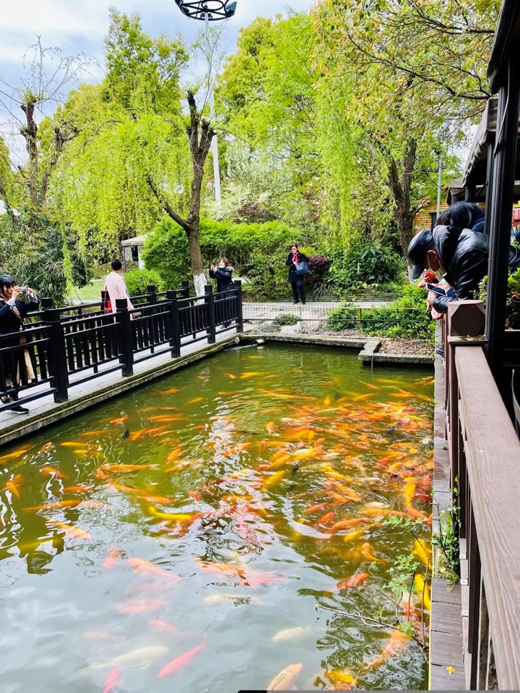 会·聚青浦｜来青浦走街串巷，这“秋膘”也是时候贴起来了！