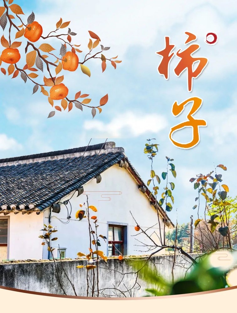 柿子熟了，快来青浦邂逅最“甜蜜”的秋！再不来就要等一年了！