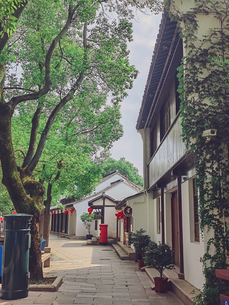 周末不宅家！青浦这趟红色探访之旅，超有“料”！