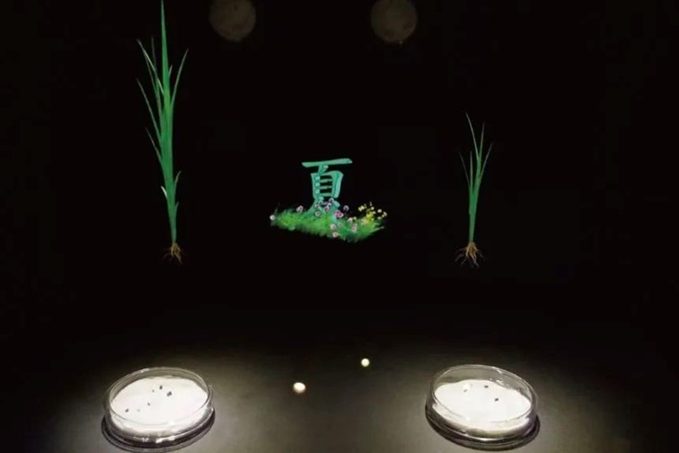 会·聚青浦｜来青浦捕捉秋色，观看一场五彩缤纷的秋天童话剧！