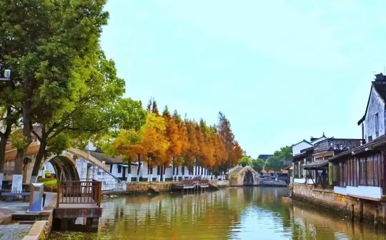 信心凝聚力量，实干开创未来！青浦区各界认真学习贯彻落实区两会精神