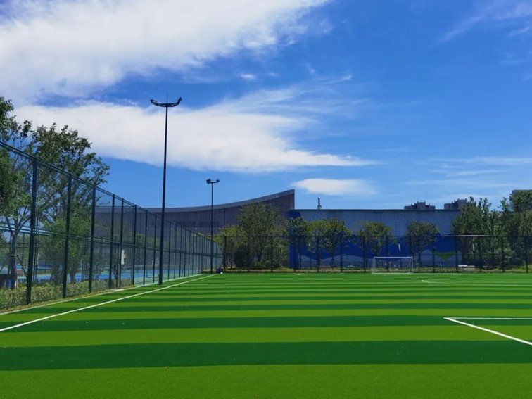 喜迎两会｜2024年度区两会建议提案优秀办理案例系列（三）