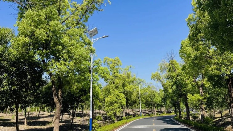青浦4个行政村被认定为2024年度“上海市森林乡村”