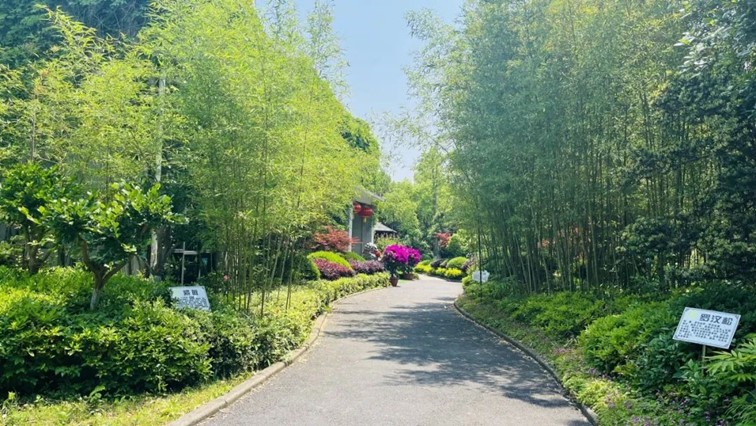 青浦4个行政村被认定为2024年度“上海市森林乡村”