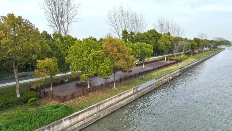 青浦4个行政村被认定为2024年度“上海市森林乡村”