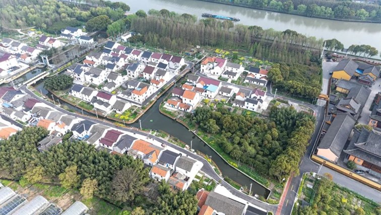 青浦4个行政村被认定为2024年度“上海市森林乡村”