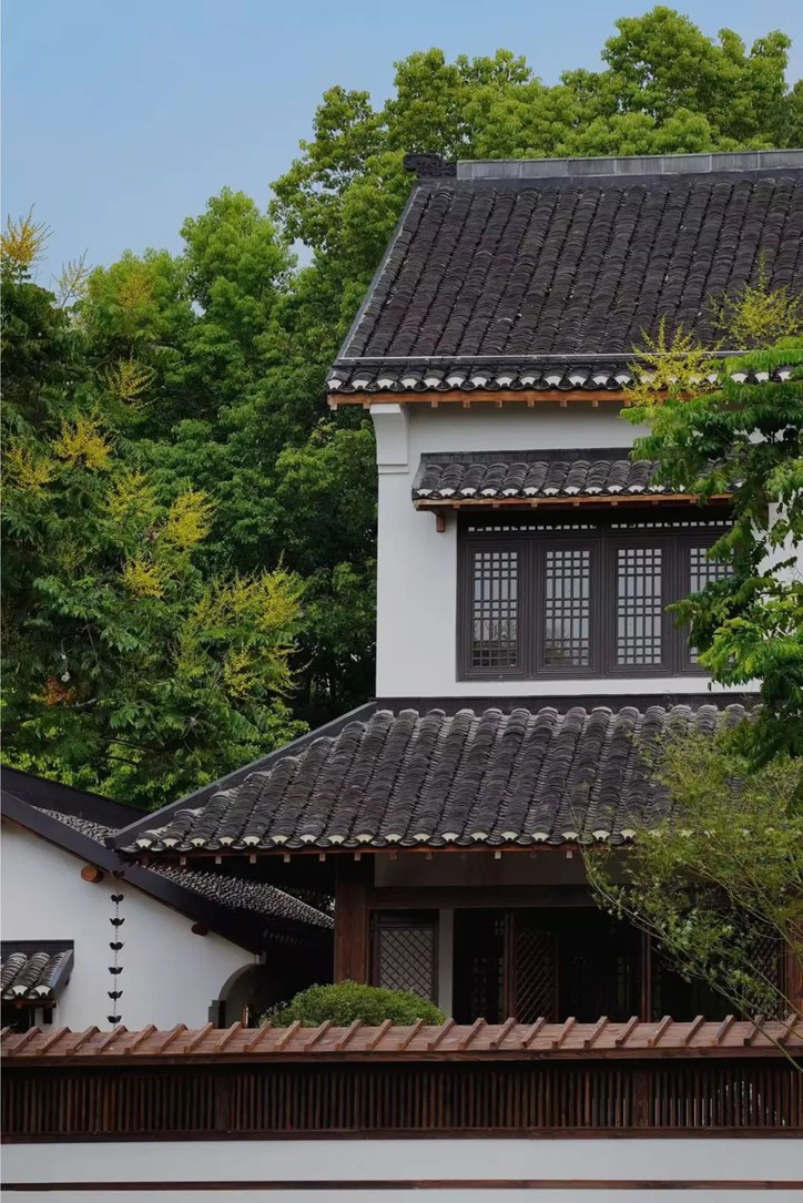 过大年·来青浦丨冬日的氛围感是围炉煮茶给的！一秒拉满，风雅隽永！