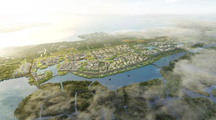 喜迎两会丨2024年度区两会建议提案优秀办理案例系列（一）