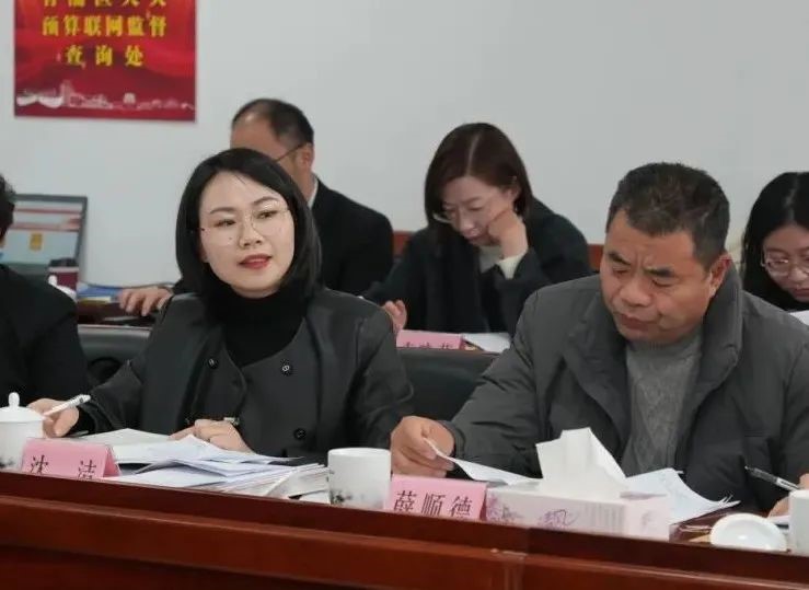 成就鼓舞人心，蓝图催人奋进！区人大代表热议两会｜两会进行时